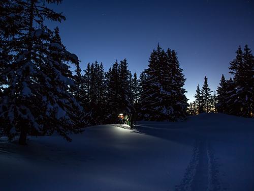 snowshoes evening in courchevel 1850 with a guide