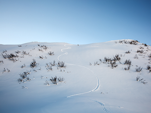 off-piste skiing in courchevel 1850 with a ski guide